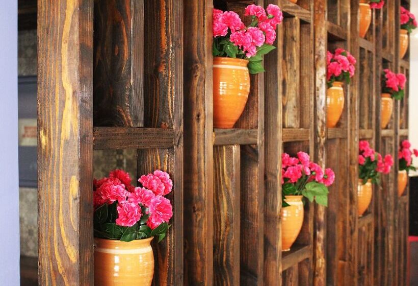 Отель Corona Plaza