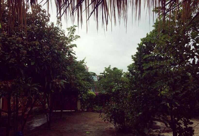 هتل Draco  Thang Long