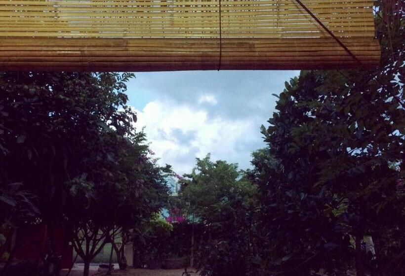 هتل Draco  Thang Long