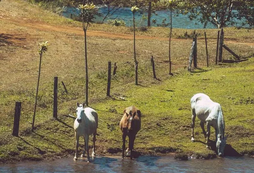 ホテル Termales Del Bosque & Hot Springs