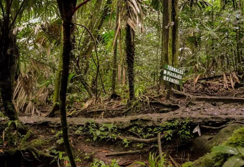 ホテル Termales Del Bosque & Hot Springs