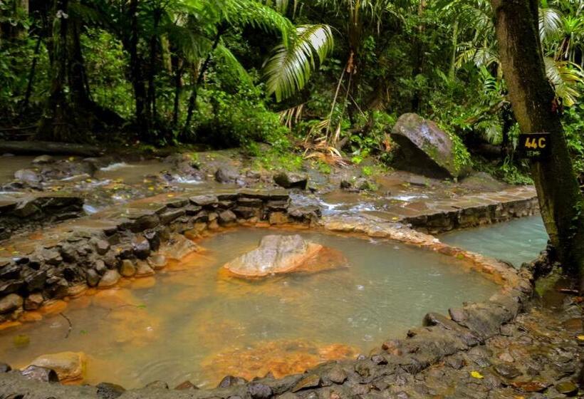 ホテル Termales Del Bosque & Hot Springs