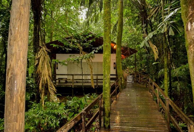 ホテル Termales Del Bosque & Hot Springs