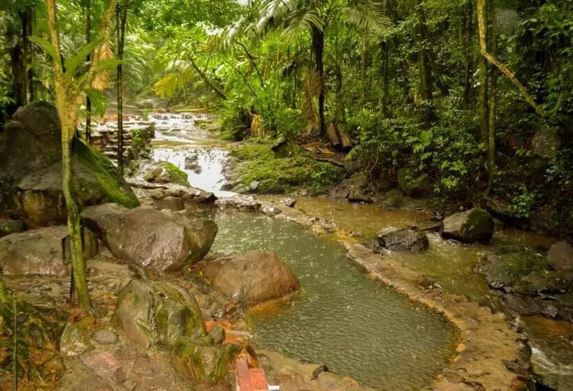 ホテル Termales Del Bosque & Hot Springs