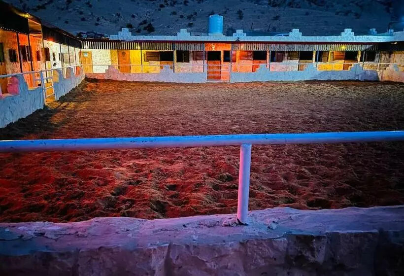 تختخواب و صبحانه Petra Royal Ranch