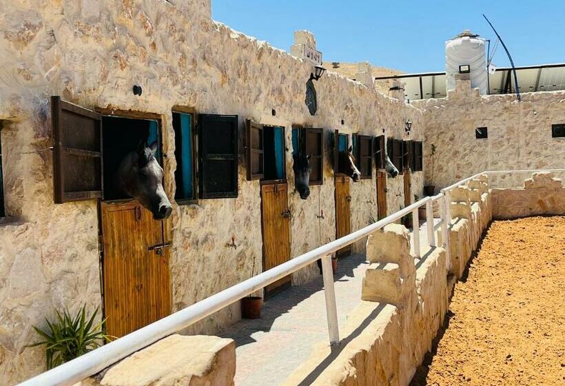 تختخواب و صبحانه Petra Royal Ranch