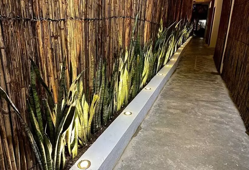 Hostal Casa En La Ciénaga