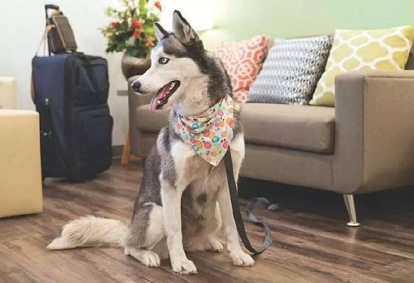 Hotelli Woodspring Suites Ashland   Richmond North