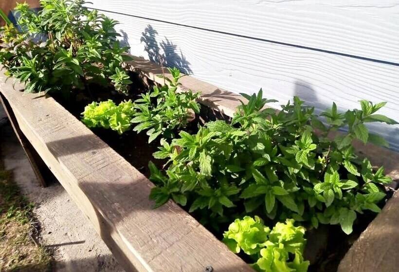 Tierra De Glaciares Aparts Cabañas