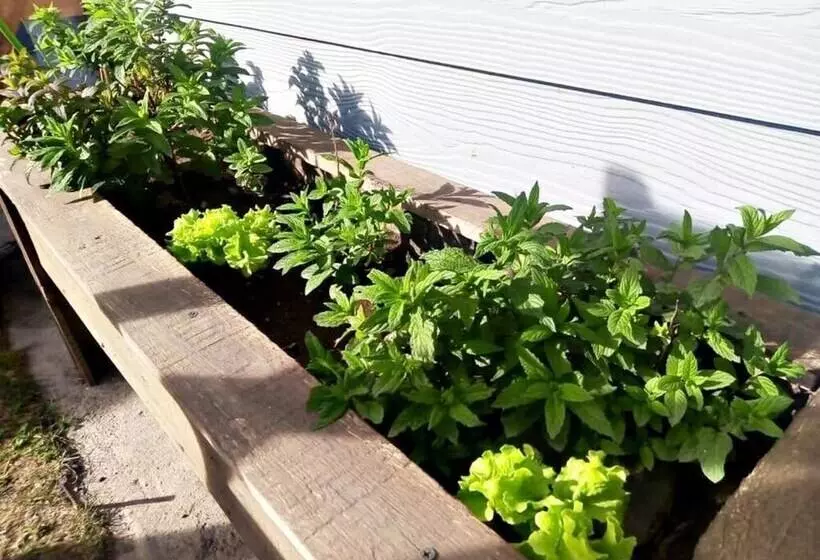 Tierra De Glaciares Aparts Cabañas