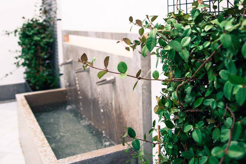 Apartamentos Campo Del Príncipe