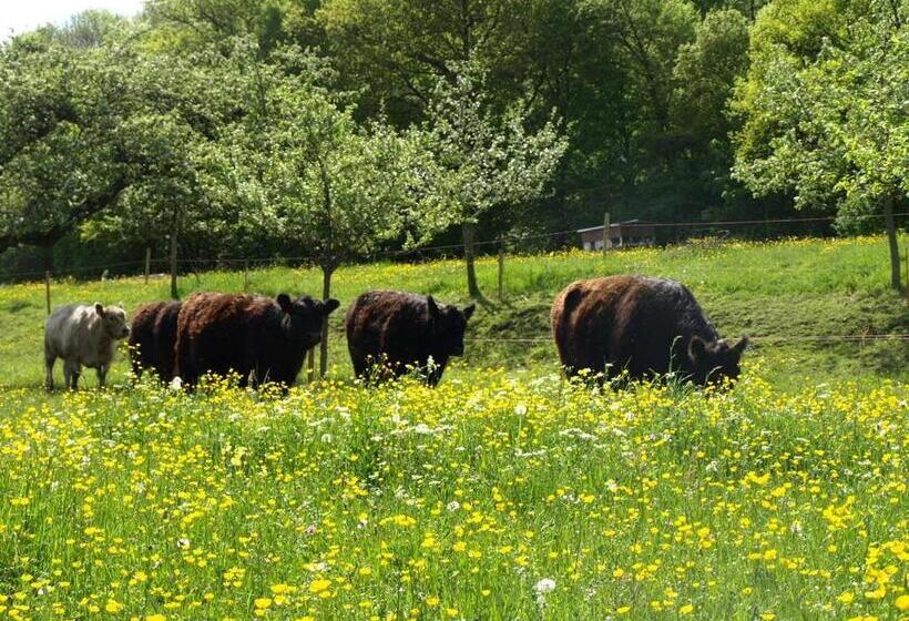Hotel Beim Rinderwirt