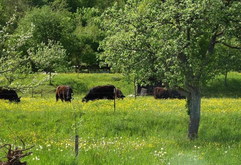 Hotel Beim Rinderwirt