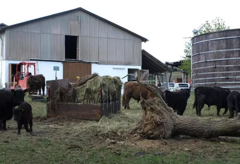 ホテル Beim Rinderwirt