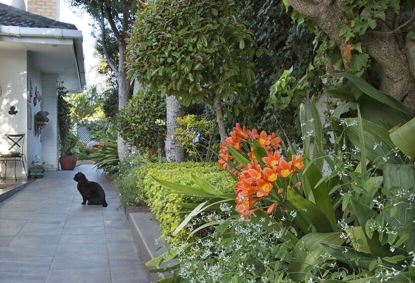 호텔 Carslogie House