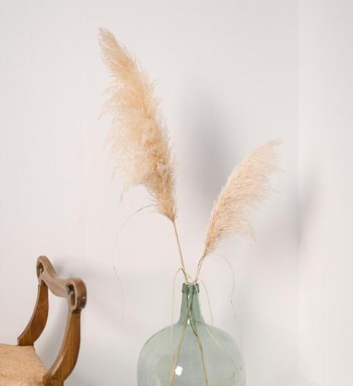 酒店 Ecoturisme Mas Ribas