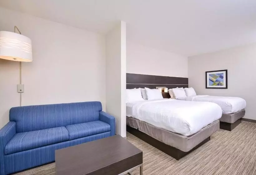 ホテル Holiday Inn Express Donaldsonville, An Ihg