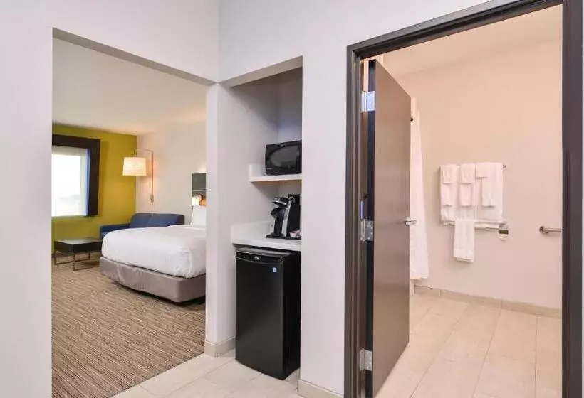ホテル Holiday Inn Express Donaldsonville, An Ihg