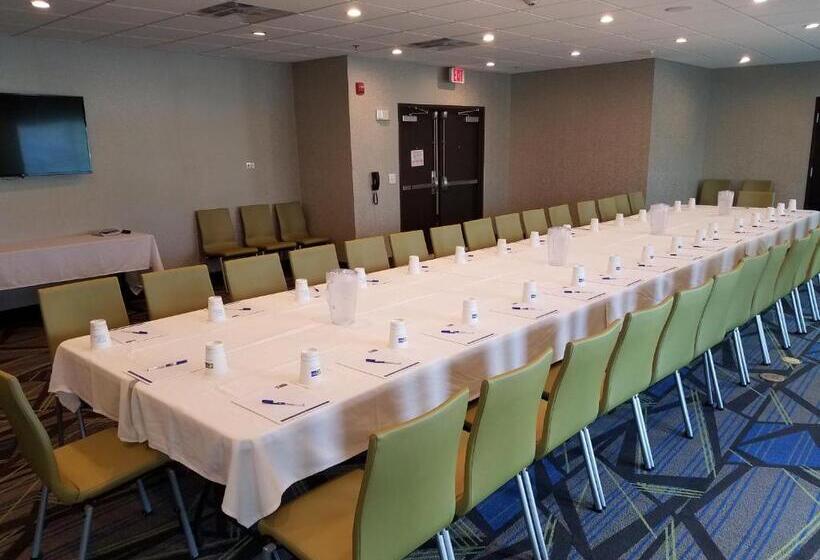 ホテル Holiday Inn Express Donaldsonville, An Ihg