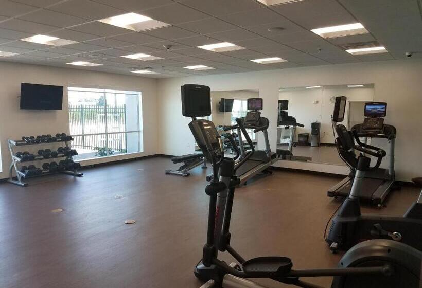 ホテル Holiday Inn Express Donaldsonville, An Ihg