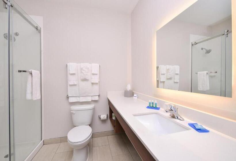 ホテル Holiday Inn Express Donaldsonville, An Ihg