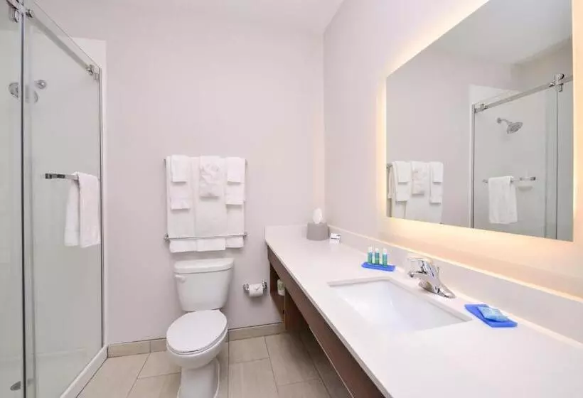 ホテル Holiday Inn Express Donaldsonville, An Ihg