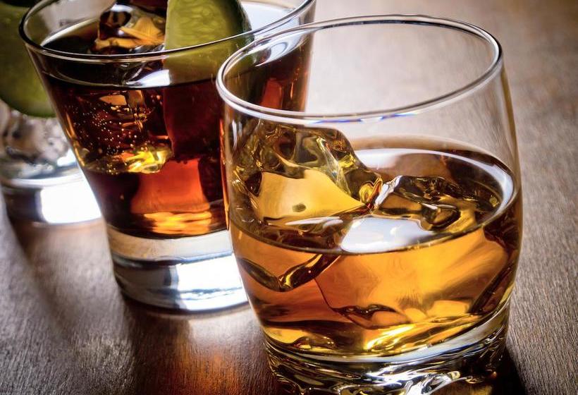 فندق Lindenhof 1887