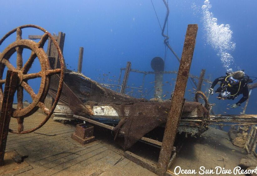 Отель Ocean Sun Homestay