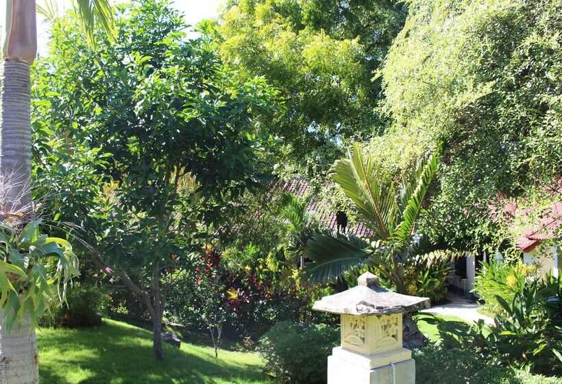 Отель Ocean Sun Homestay