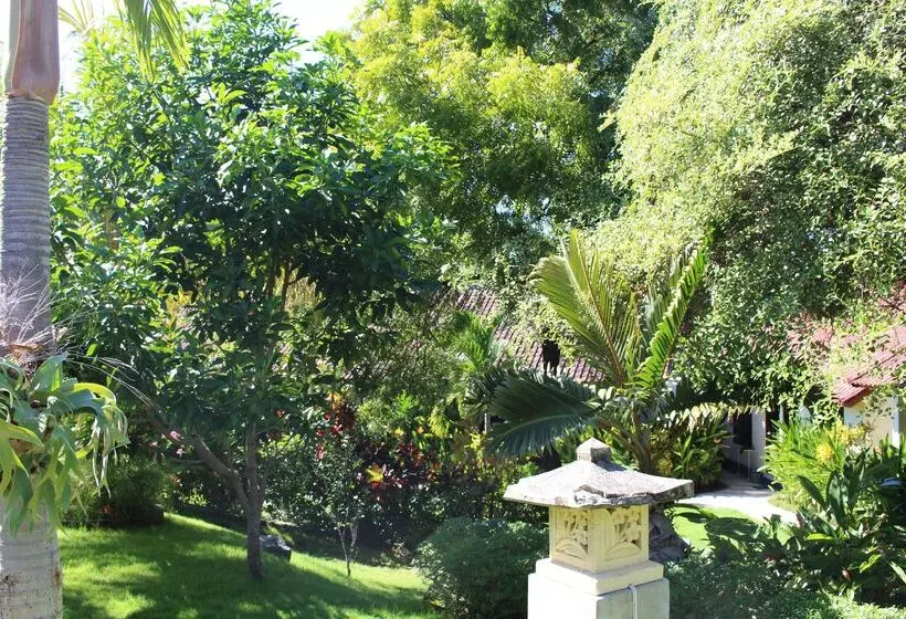 Hotelli Ocean Sun Homestay