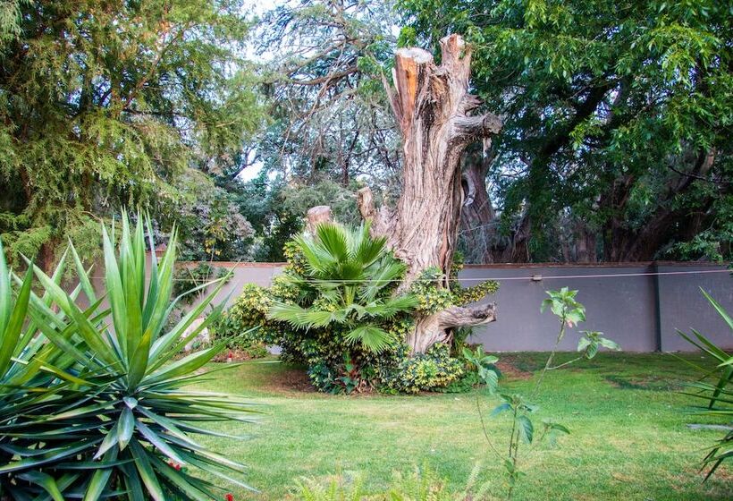 ホテル Sol Y Fiesta