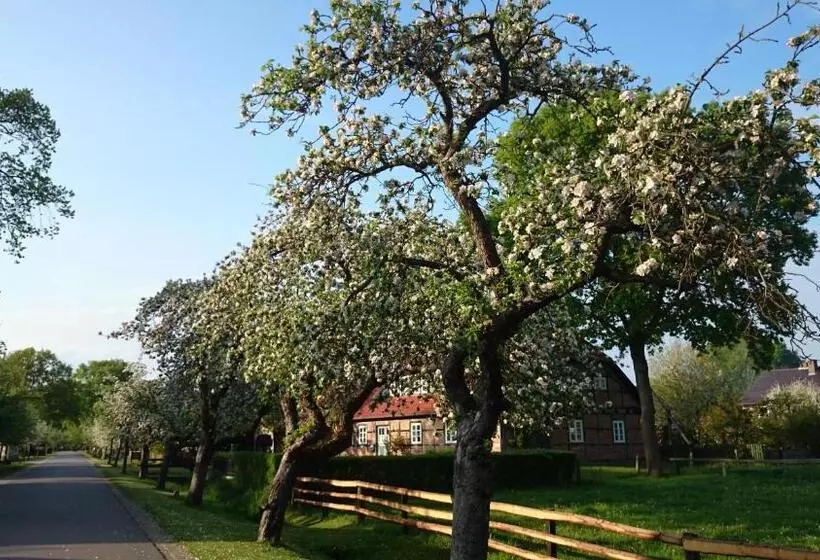 ホテル Steinhagen