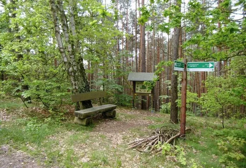 ホテル Steinhagen