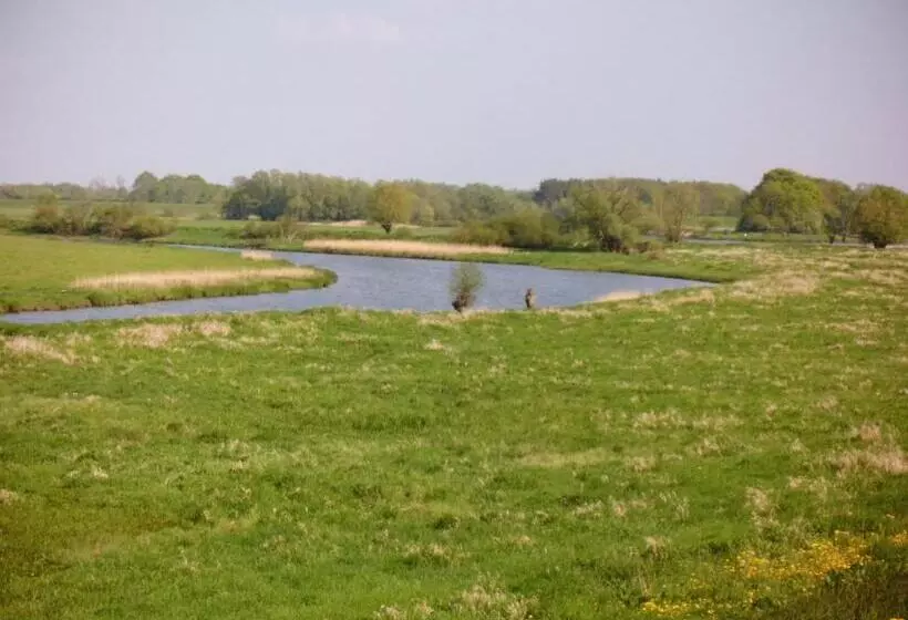 ホテル Steinhagen