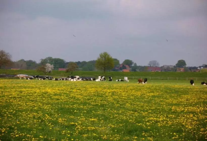ホテル Steinhagen