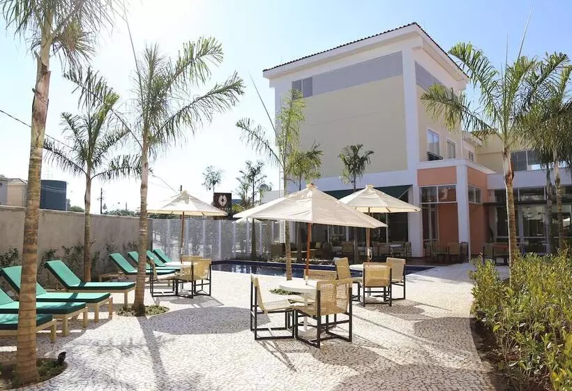 Vitória Hotel Express Dom Pedro