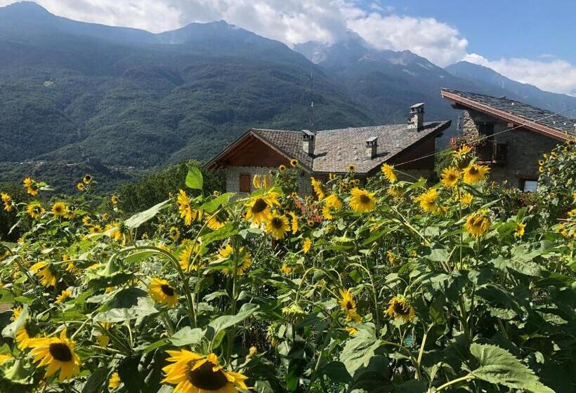 Paradise Hotel & Wellness