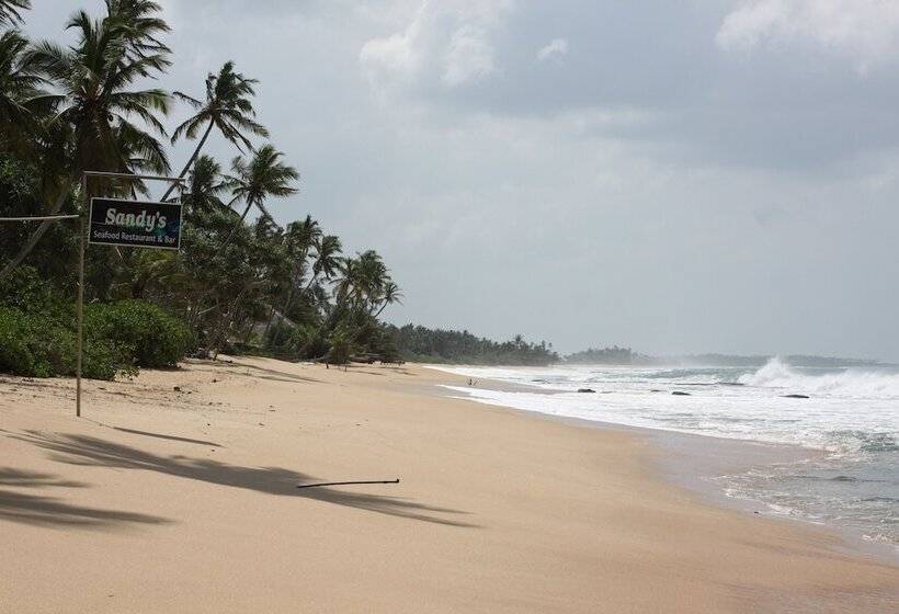 Sandy Sri Lanka