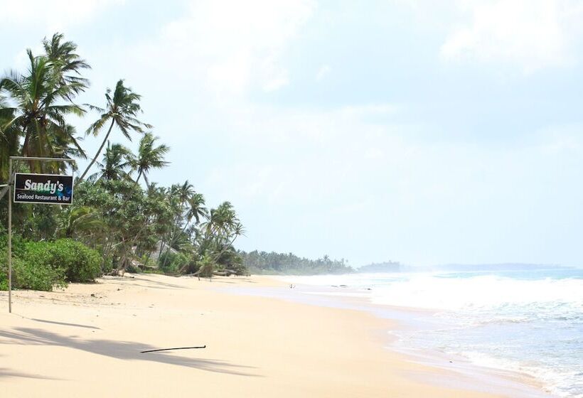 Sandy Sri Lanka