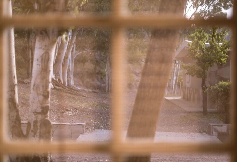 Bosque Divino Cabañas & Suites