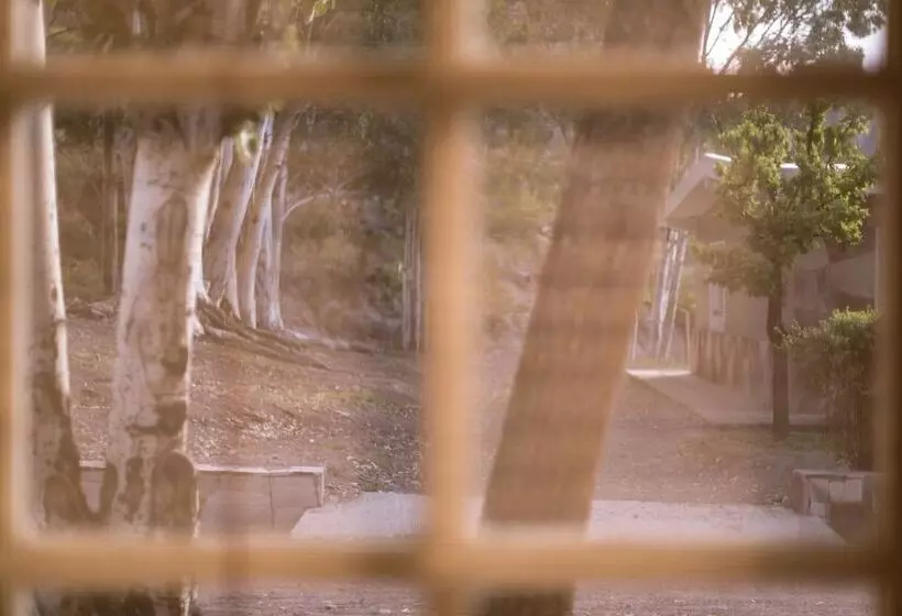 Bosque Divino Cabañas & Suites