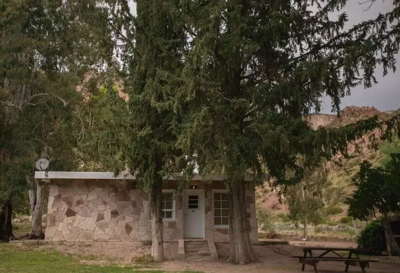 Bosque Divino Cabañas & Suites