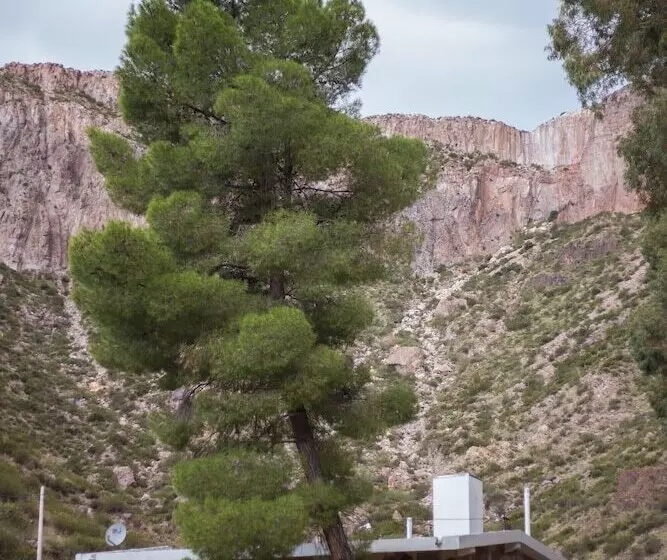 Bosque Divino Cabañas & Suites