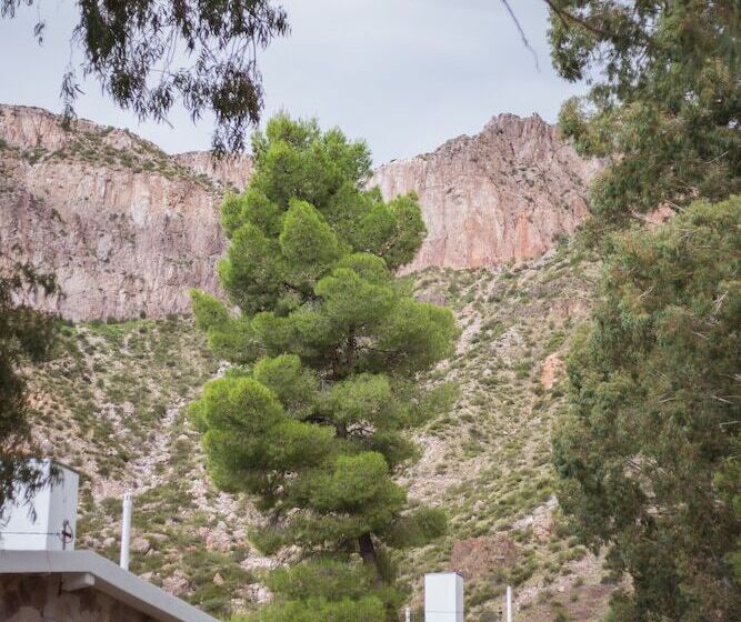 Bosque Divino Cabañas & Suites