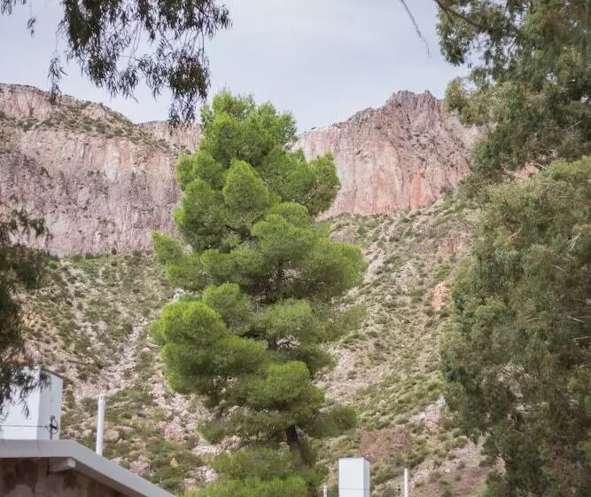 Bosque Divino Cabañas & Suites