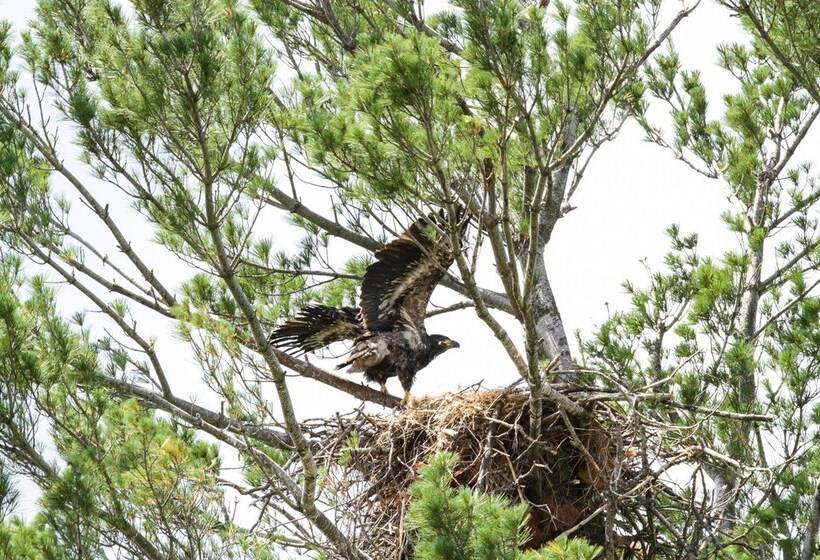 Cabin On Private Island < 6 Mi To Sand Valley Golf