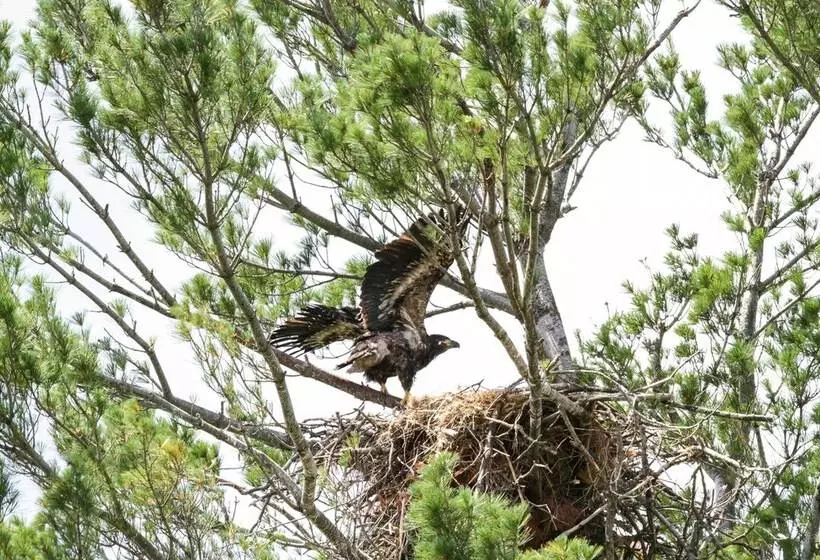 Cabin On Private Island < 6 Mi To Sand Valley Golf