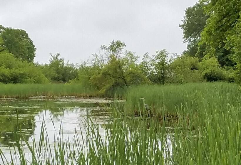 Cabin On Private Island < 6 Mi To Sand Valley Golf