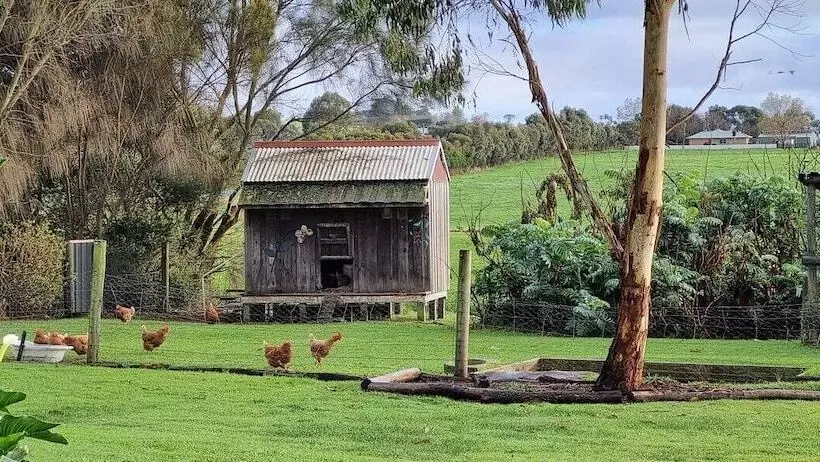 Hotelli Colac Otway Caravan & Cabin Park