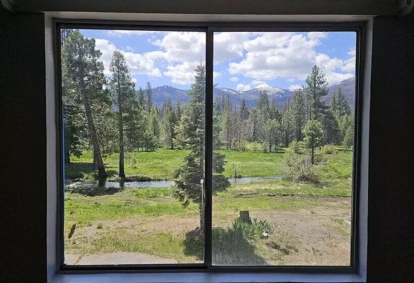 Hotelli The Black Forest Lodge